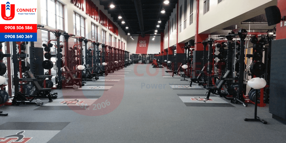 Đại học San Diego State, bang California, Mỹ